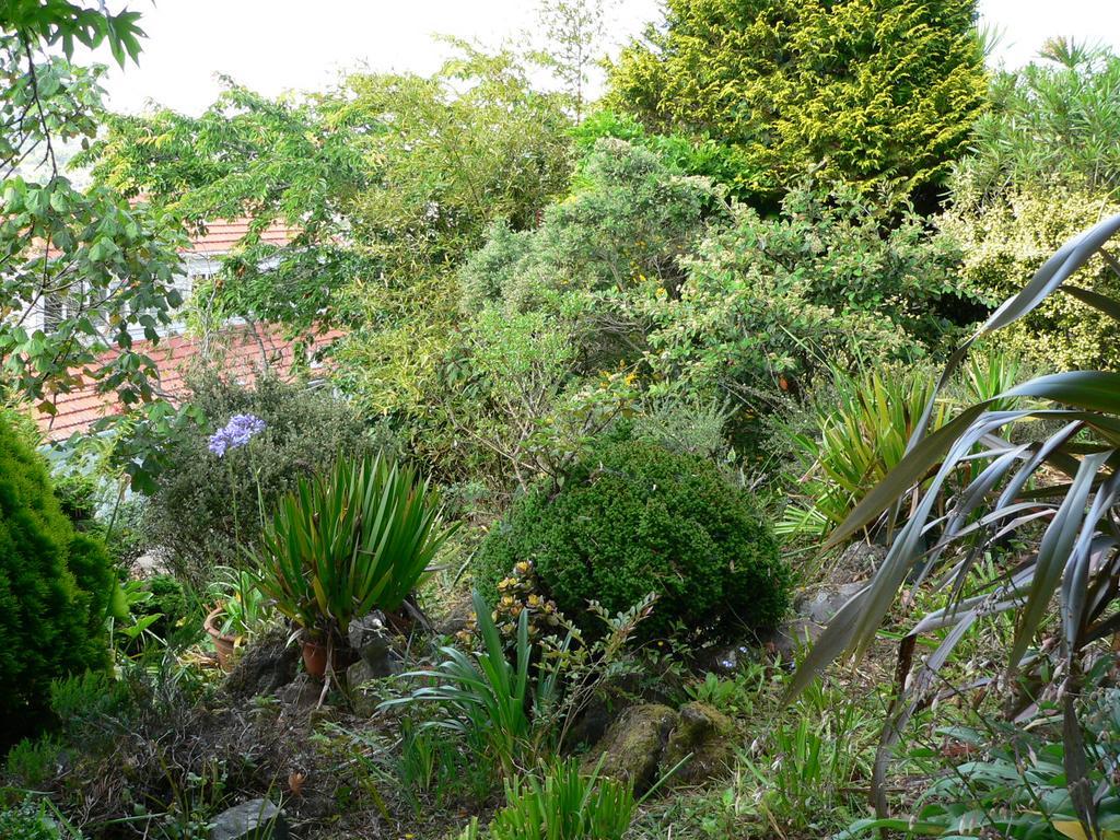 Mount Hobson Apartments Auckland Buitenkant foto