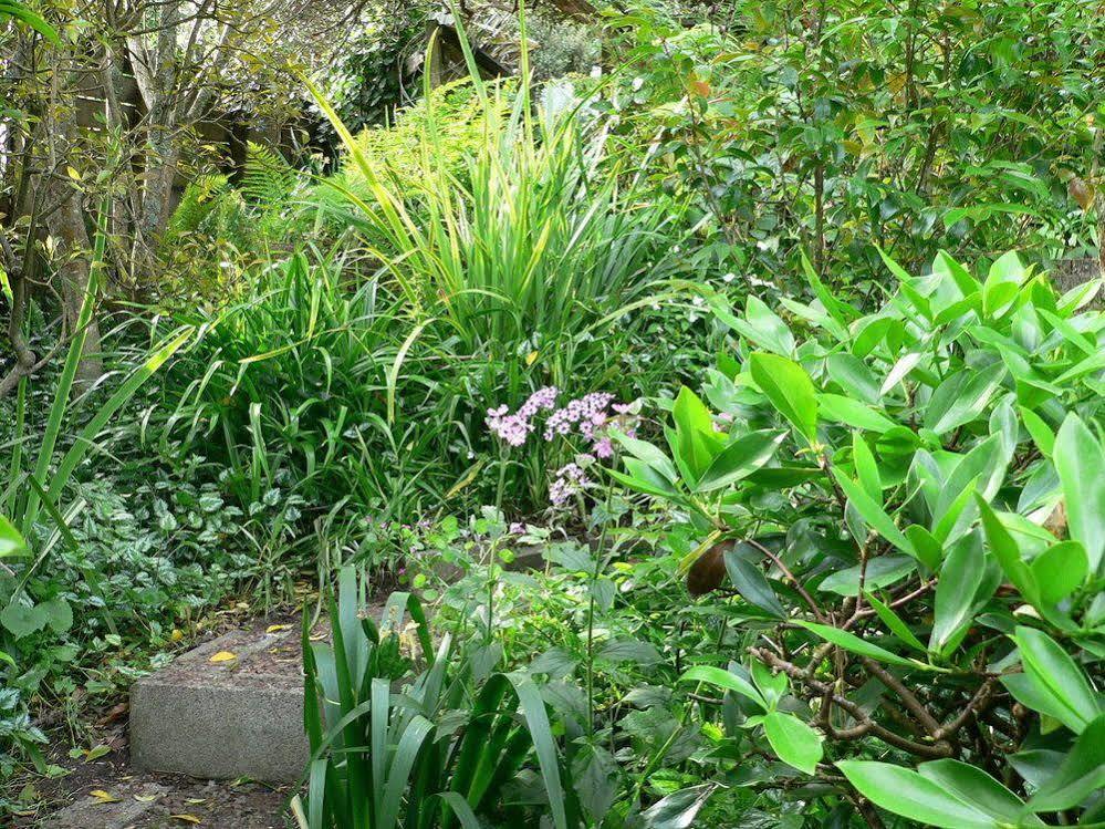 Mount Hobson Apartments Auckland Buitenkant foto